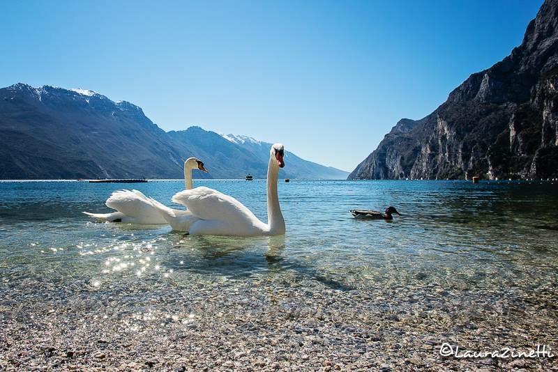Villa Linfano Torbole Sul Garda Exterior photo